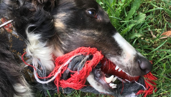 Toni Kensa im neuen Zuhause